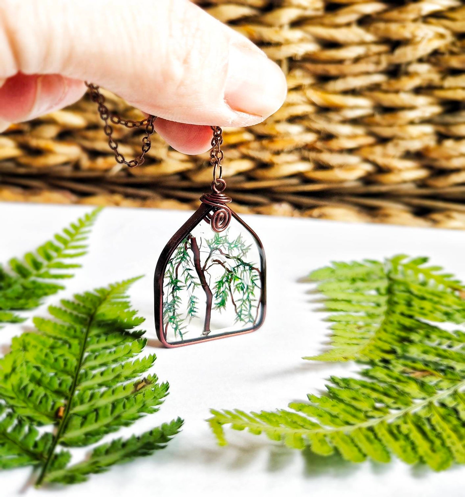 Weeping Willow Anniversary Gift/weeping Willow Tree Etsy