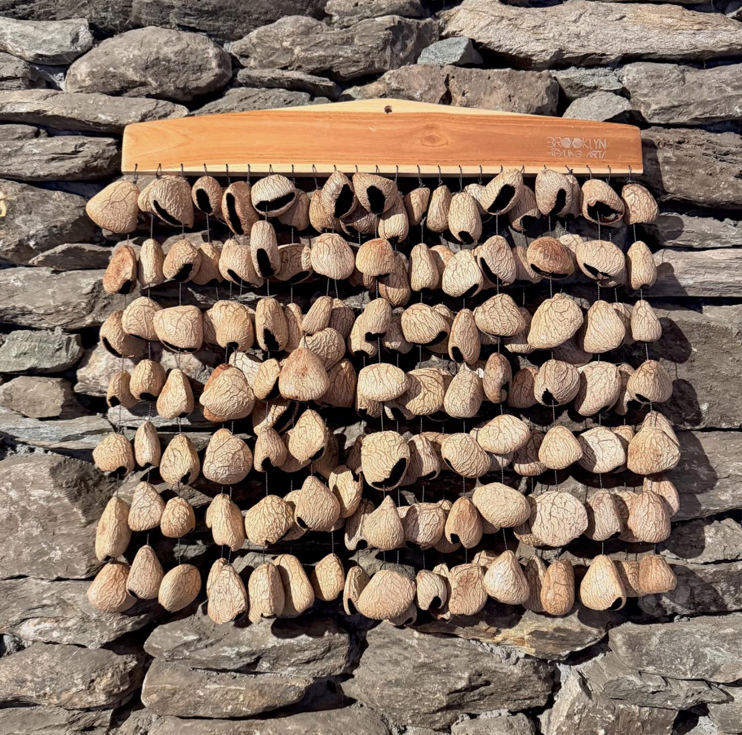 Large Frame Pangi Seed Rattle 168 Seeds on 20