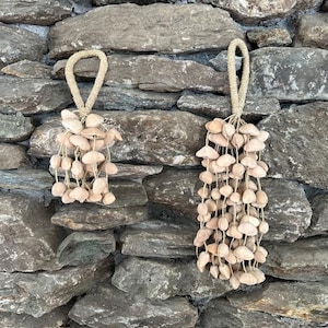 Kenari Seed Rattle Large