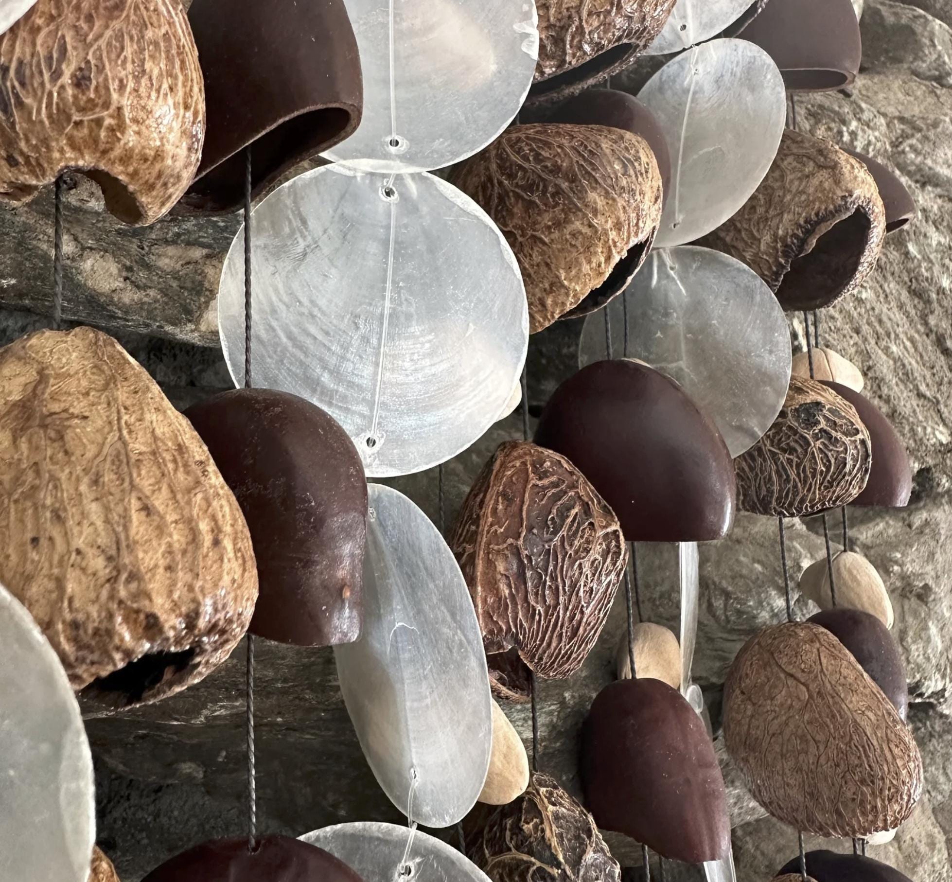 Coconut Rattle Shells Mixed Seed Rattle With Pangi, Kenari, Bendo, and Shells - Etsy