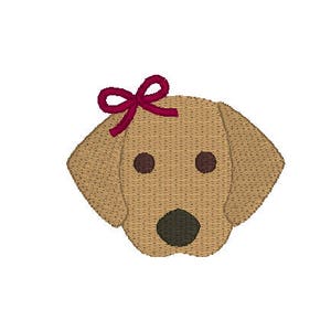 May include: A brown dog with a red bow on its head. The dog is looking straight ahead.