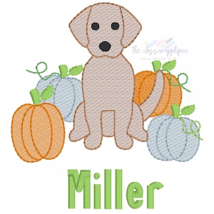 May include: An embroidered design featuring a tan dog sitting among orange and blue pumpkins with green stems and leaves. The word "Miller" is embroidered in green block letters below the dog and pumpkins.