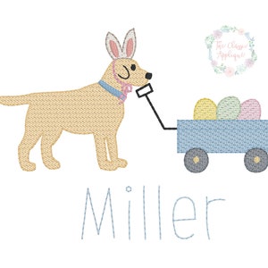 Può includere: Un Labrador Retriever giallo con le orecchie da coniglio tira un carrello blu pieno di uova di Pasqua pastello. Il carrello ha due ruote e il cane indossa un collare blu. Il testo "Miller" è scritto sotto l'immagine.