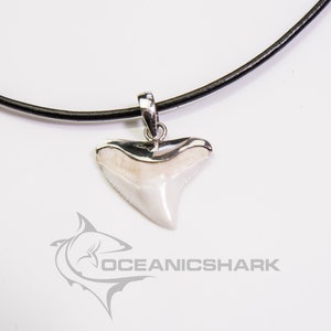 Bull shark tooth pendant silver shark tooth pendant necklace shark tooth jewelry pendant men&#39;s jewelry gift best man christmas present ideas