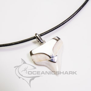 Bull shark tooth jewellery mens boys gift fishing diving hunting  pendant, silver shark tooth jewelry, silver shark tooth charm necklace