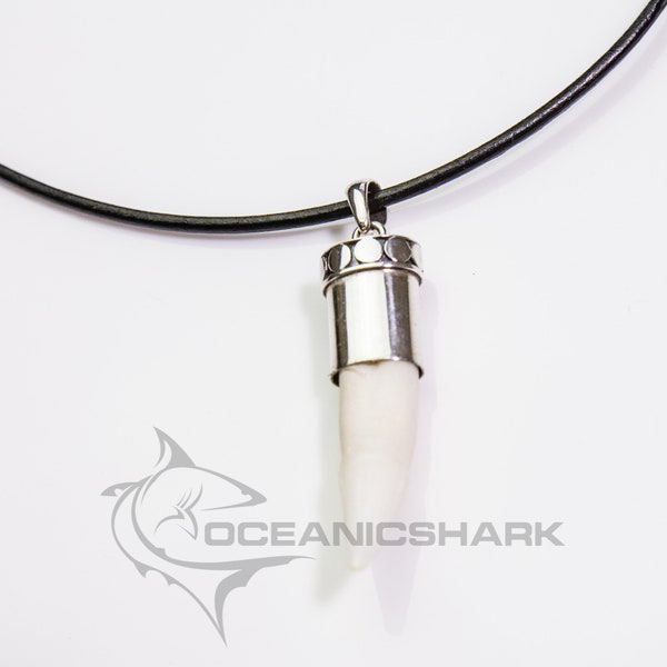 Crocodile tooth necklace Australia alligator tooth necklace  buy crocodile tooth necklace alligator tooth necklace for sale