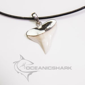 Bull shark tooth pendant 925 sterling silver shark tooth pendant necklace shark tooth jewelry for sale Oceanicshark Australia