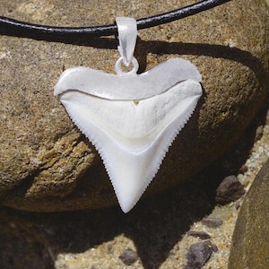 Large Bull shark tooth necklace, shark teeth set in silver, shark tooth gift