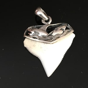 Bull shark tooth solid 925 sterling silver shark tooth double shark Oceanicshark Australia