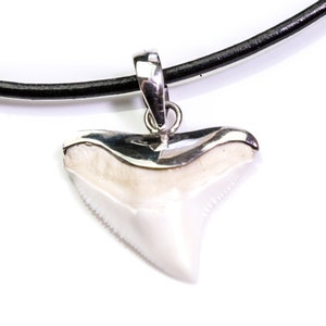 Bull shark tooth pendant silver shark tooth pendant necklace shark tooth jewelry pendant men&#39;s jewelry gift best man christmas present ideas