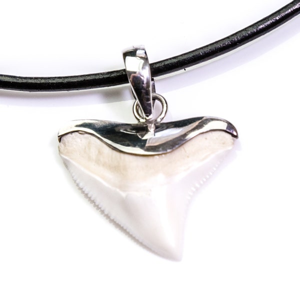 Bull shark tooth pendant silver shark tooth pendant necklace shark tooth jewelry pendant men's jewelry gift best man christmas present ideas