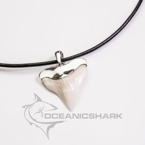 Bull shark tooth necklace, shark teeth, shark necklace set in silver great gift