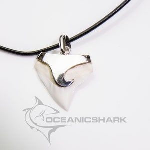 Bull shark tooth sterling silver necklace, silver shark tooth pendant, silver shark tooth jewelry, silver shark tooth charm necklace