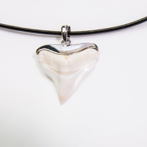 sterling silver shark tooth necklace, silver shark teeth necklace, diving charms, fishing lucky charm
