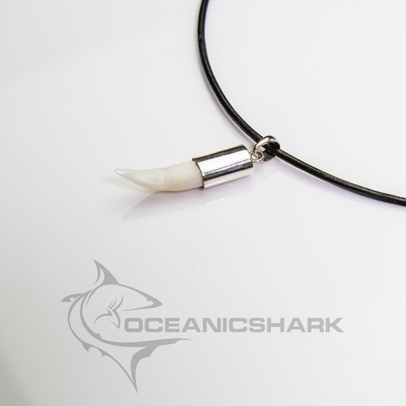 Alligator tooth necklace for sale clearance