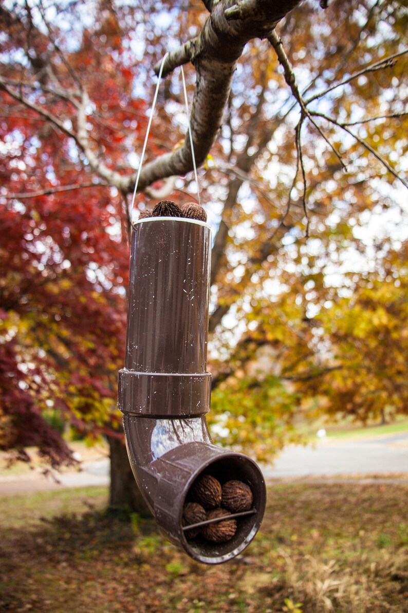 New Handmade Hanging Black Walnut Squirrel Feeder Large Etsy