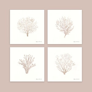 Calming Coral 4 Set By Stephanie Marrott
