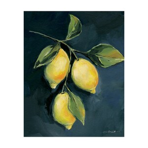 Lemon Branch  by Stephanie Marrott