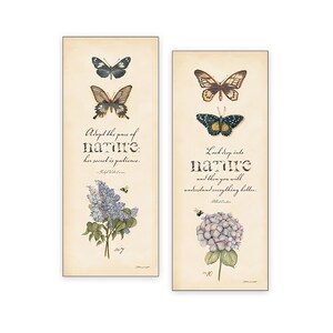 Studies In Nature - 2 Set  by Stephanie Marrott