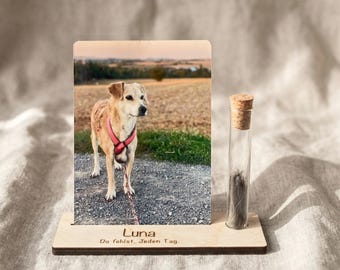 Personalized Pet Memorial Stand | Keepsake for Dog or Cat | Condolence Gift | Beige Wood