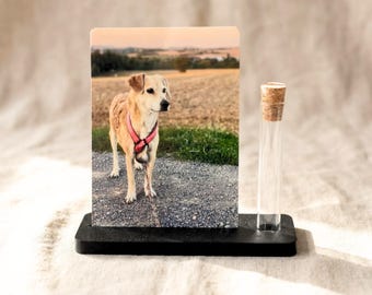 Haustier Andenken Fotohalter mit Erinnerungsglas | Hund Katze Fell Erinnerung personalisiert | Trauergeschenk Regenbogenbrücke