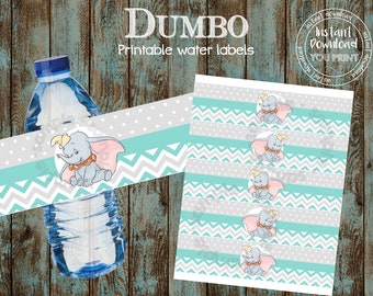 Dumbo Baby Shower Decorations Etsy
