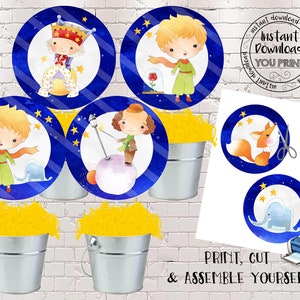 Little Prince Centerpieces Little Prince Party Decorations Little Prince Party Supplies The Little Prince Baby Shower Table Decor LP001