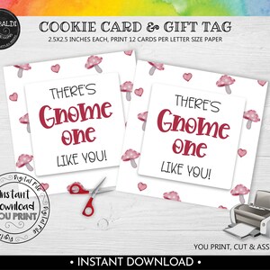 There's Gnome One Like You Gift Tag, Printable Valentine's day Gnome Cookie Card, Valentine's Day Favor Tag, Instant Download Square Tag VL