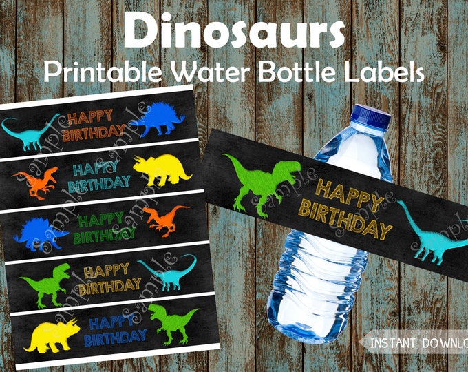 Printable Dinosaurs Water Bottle Labels Dinosaur Party Etsy