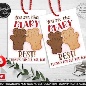Teacher Appreciation Tags You are the Beary Best Teddy Bear Grahams Favors School Staff Volunteer PTA Boss Employee Nurse Favor Printable TA