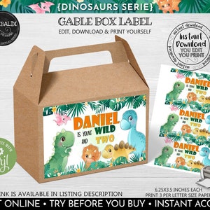 Dinosaur Gable Box Labels Instant Download Dinosaur Gift Box Labels Editable Dinosaur Gable Favor Box Printable Labels Dino Party Favor DW1
