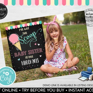 Editable Ice cream Baby Sister Pregnancy Announcement Pintable Pregnancy Announcement Sign Instant Download Baby Sister Announcement PA