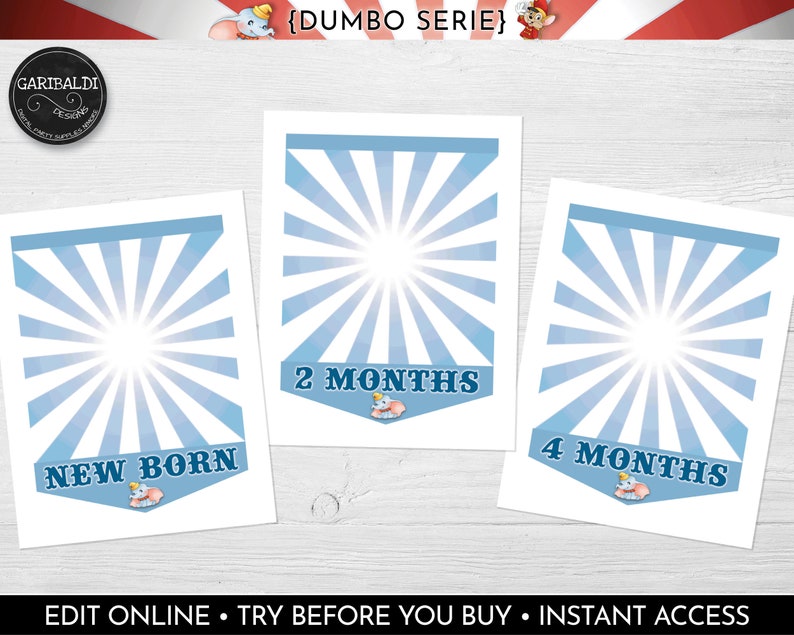 Dumbo Baby First Birthday Banner INSTANT DOWNLOAD Dumbo Photo Banner Dumbo Circus Milestone Photo Banner Baby Blue Dumbo Photo Banner DCHM