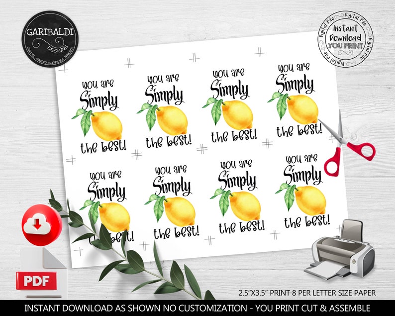 Pu&ograve; includere: Confezione da 8 etichette regalo stampabili, ciascuna di 2,5 x 3,5 pollici, con un design di limone ad acquerello e il testo "You are Simply the Best!"