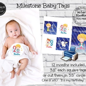 The Little Prince Milestone Stickers, Instant download Little Prince Baby Milestone Labels, Printable Little Prince Monthly Stickers LP001