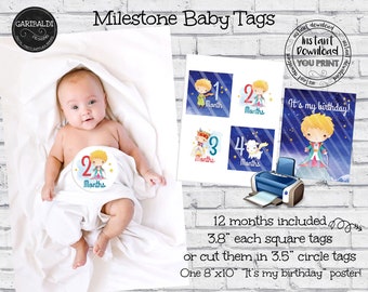 The Little Prince Milestone Stickers, Instant download Little Prince Baby Milestone Labels, Printable Little Prince Monthly Stickers LP001