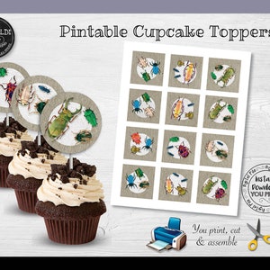 Bugs Cupcake Toppers Bugs Cupcake Toppers Bugs Festa de Aniversário Bugs Decorações para Festa Bugs Aniversário Suprimentos para Festa Download Digital BGS01