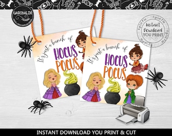 Könnte beinhalten: Zwei druckbare Halloween-Geschenk-Etiketten mit den Sanderson-Schwestern aus dem Film Hocus Pocus. Die Etiketten sind in einem lila, grünen und orangefarbenen Farbschema dekoriert und tragen den Text "It's just a bunch of Hocus Pocus".