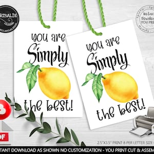 Pu&ograve; includere: Due etichette regalo stampabili con un design di limone ad acquerello. Le etichette sono bianche con testo nero che dice "You are Simply the Best!" e misurano 2,5 pollici per 3,5 pollici.