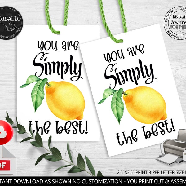 Teacher Appreciation Tags You are Simply the Best Gift Tag Lemonade Gift Tag School Volunteer Staff PTA Boss Employee Coworker Printable TA