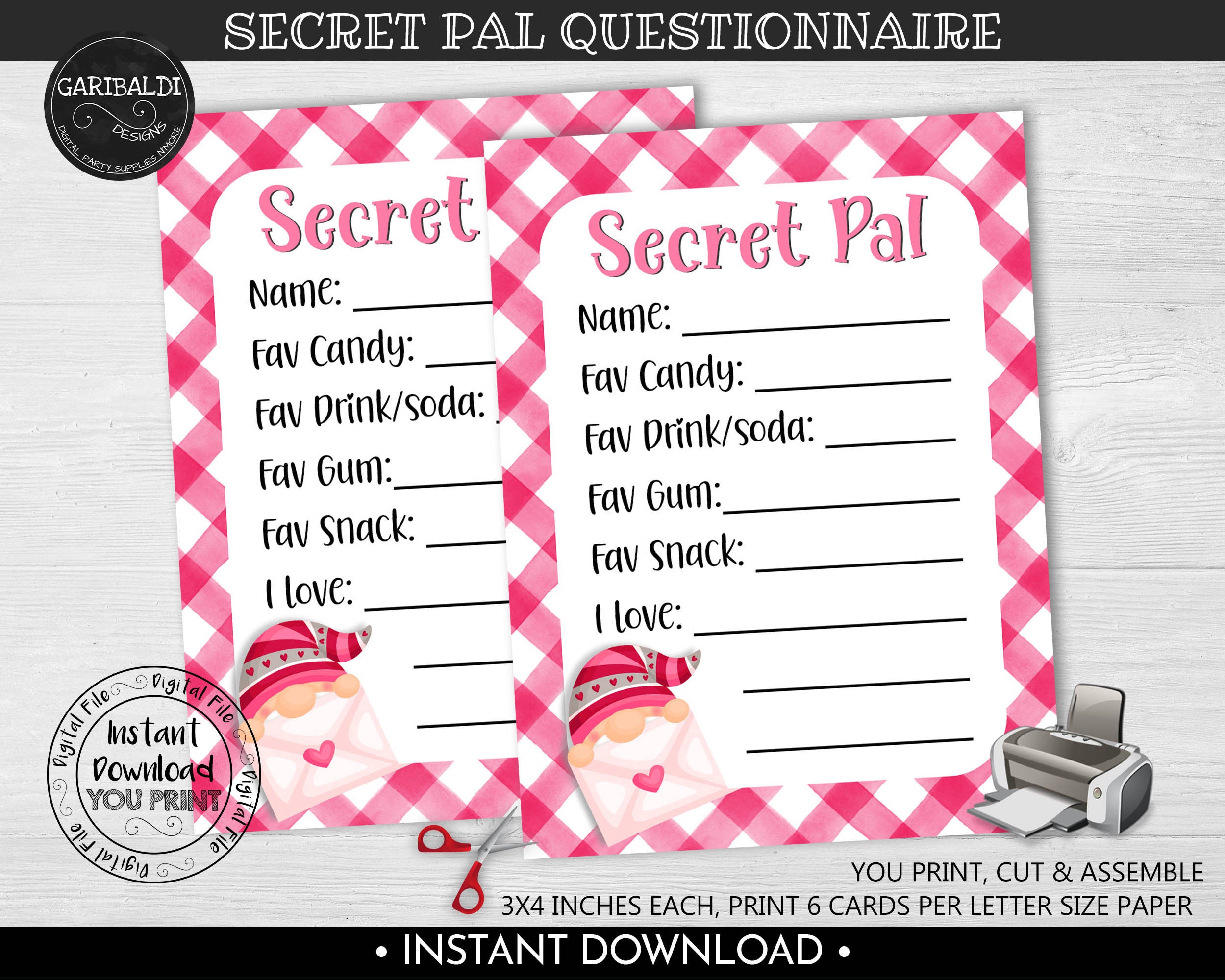 valentine-s-day-secret-pal-questionnaire-printable-gift-etsy