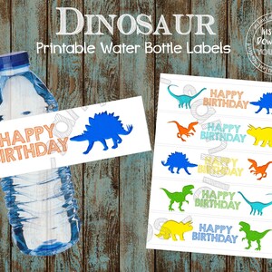 Printable Dinosaurs Water Bottle Labels, Dinosaur Party Supplies, Dinosaurs Birthday Party Decorations, Dinosaur water bottle labels
