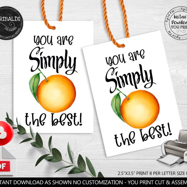 Teacher Appreciation Tags You are Simply the Best Gift Tag Orange Juice Tag School Volunteer Staff PTA Boss Employee Coworker Printable TA