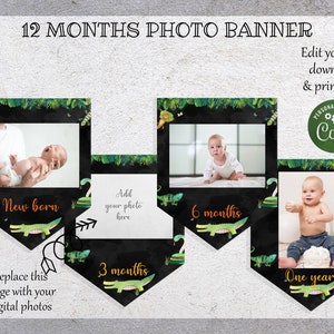 Reptile Monthly Photo Banner, Printable Reptile Milestone Banner, First Birthday Banner 1st Year Banner PRINTABLE Reptile Party Banner RPT01