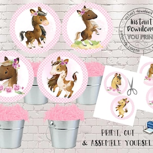 Centrotavola a forma di cavallo Topper per torta a forma di cavallo Decorazioni stampabili a forma di cavallo Forniture per feste a cavallo Festa di compleanno a cavallo Decorazioni per feste a cavallo rosa PH001
