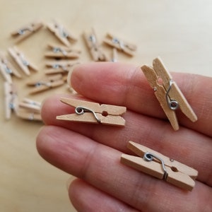May include: A close-up of three small wooden clothes pegs with metal spring clips. The clothes pegs are light brown in colour and are held in a person's hand.