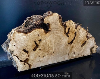 RONCE DE NOYER Bois très rare, brut pour le travail du bois, tournage. Stock France. #W.163