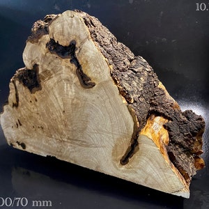 WALNUT BURL Wood Very Rare, Blank for woodworking, turning. France Stock. #W.159