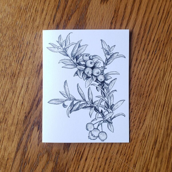 Blueberry Botanical Notecard/Painted Stationary/Watercolor and Ink Print