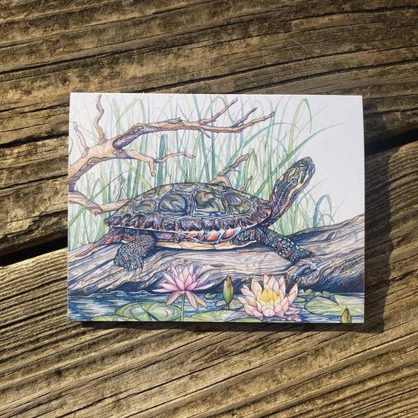 Gemalte Schildkröte Grußkarte/Briefpapier/Aquarelldruck